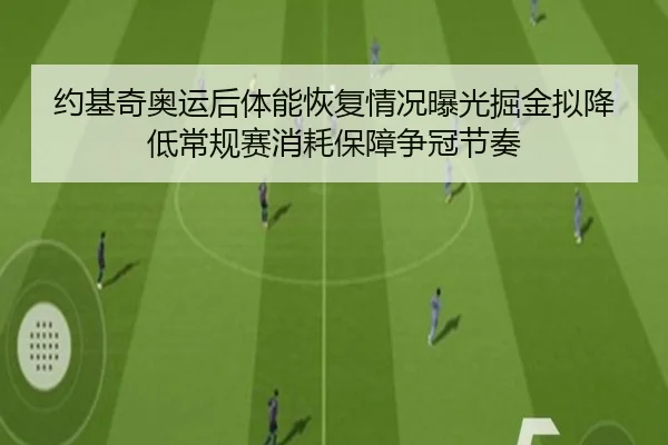 约基奇奥运后体能恢复情况曝光掘金拟降低常规赛消耗保障争冠节奏